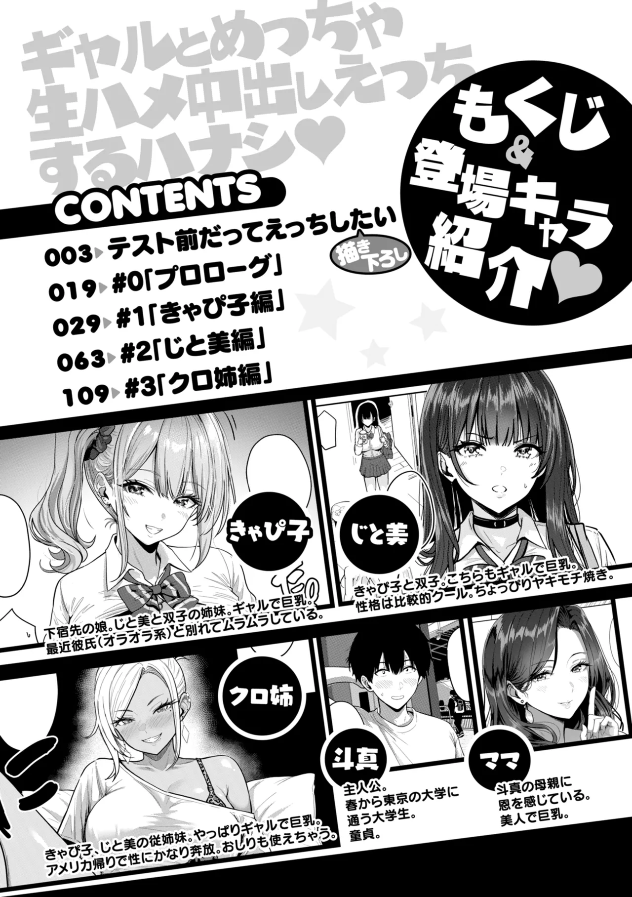 Page 4 of [Nishizawa Mizuki] Gal to Meccha Namahame Nakadashi Ecchi suru Hanashi [Digital]