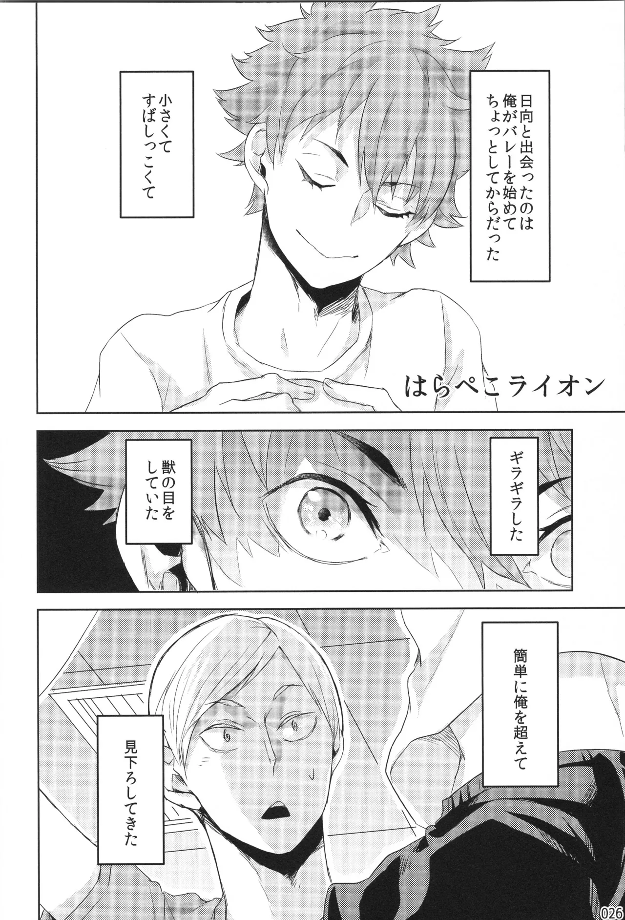 Hokakosei×Hinatashou Sairokuhon OTHER BOX - Page 25