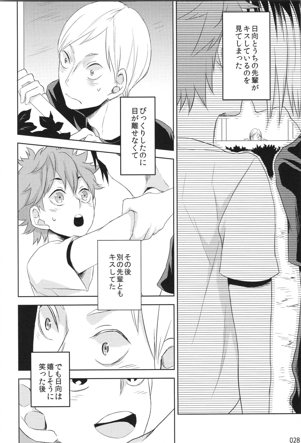 Hokakosei×Hinatashou Sairokuhon OTHER BOX - Page 27