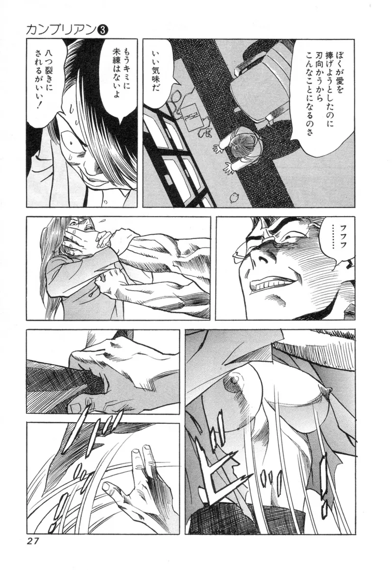Kanburian Kanzenban Cambrian 03 - Page 29