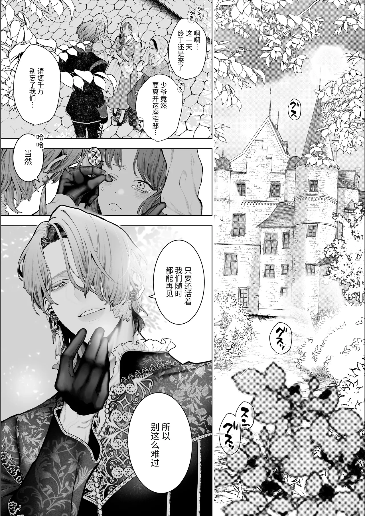 Page 8 of [Kyouniku Kyoushoku (Jagi Iwa)] Houtou Kizoku wa Moto Outaishihi to no Haramasekon de Isogashii - The Rake and The Once Crowned Princess [Chinese] [惑星] [无修正] [Digital]