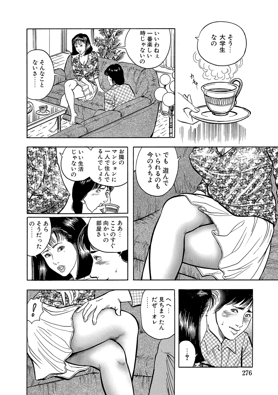 Shirouto Bijinzuma - Page 276