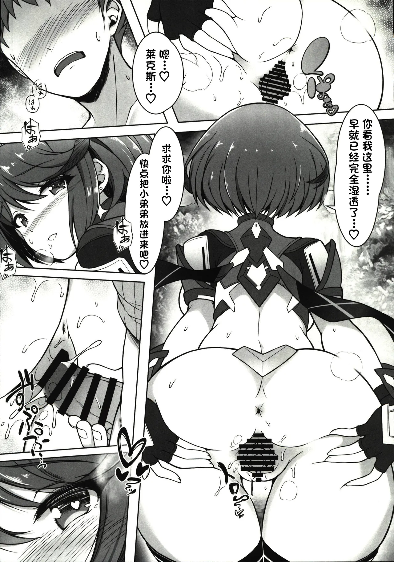 Page 10 of (C107) [TCA Cycle (Gairou)] Homura to Ichinichijuu H Shimakuru Hon (Xenoblade Chronicles 2) [Chinese] [禁漫漢化組]