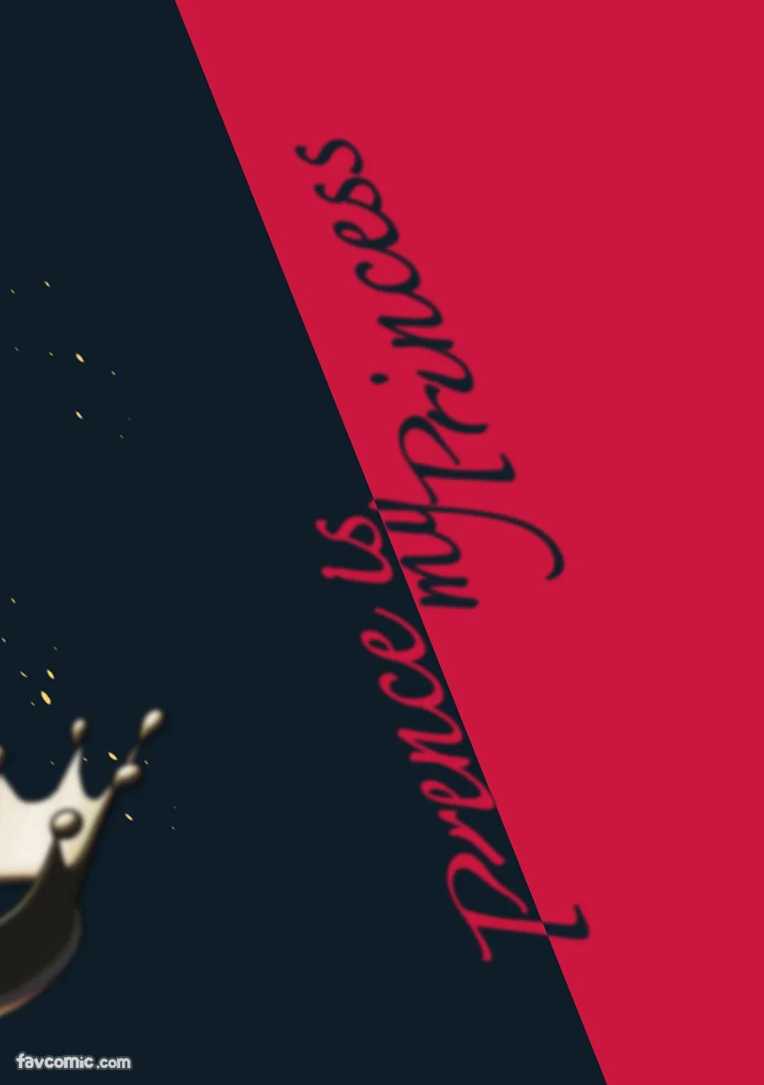 Prince Is My Princess︱我的王子公主 - Page 33