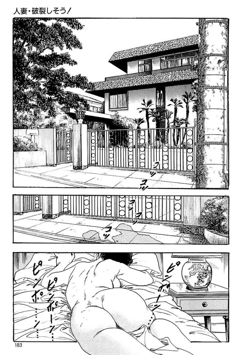 ケン月影の 熟妻お尻を抱えられて（愛蔵版） - Page 181