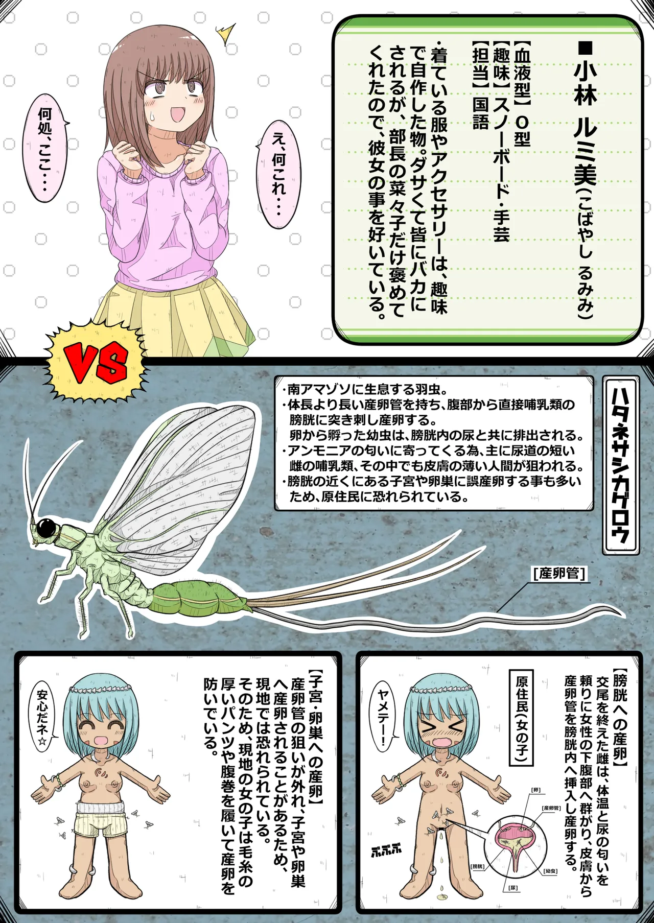 Preview page 6