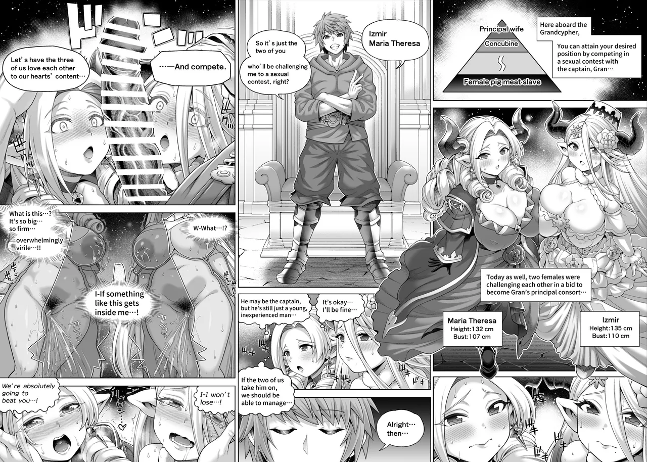 Page 3 of [Aoyama Kobo (Aoyama Akira)] Mesu Draph wa Mesubuta (Granblue Fantasy) [English]
