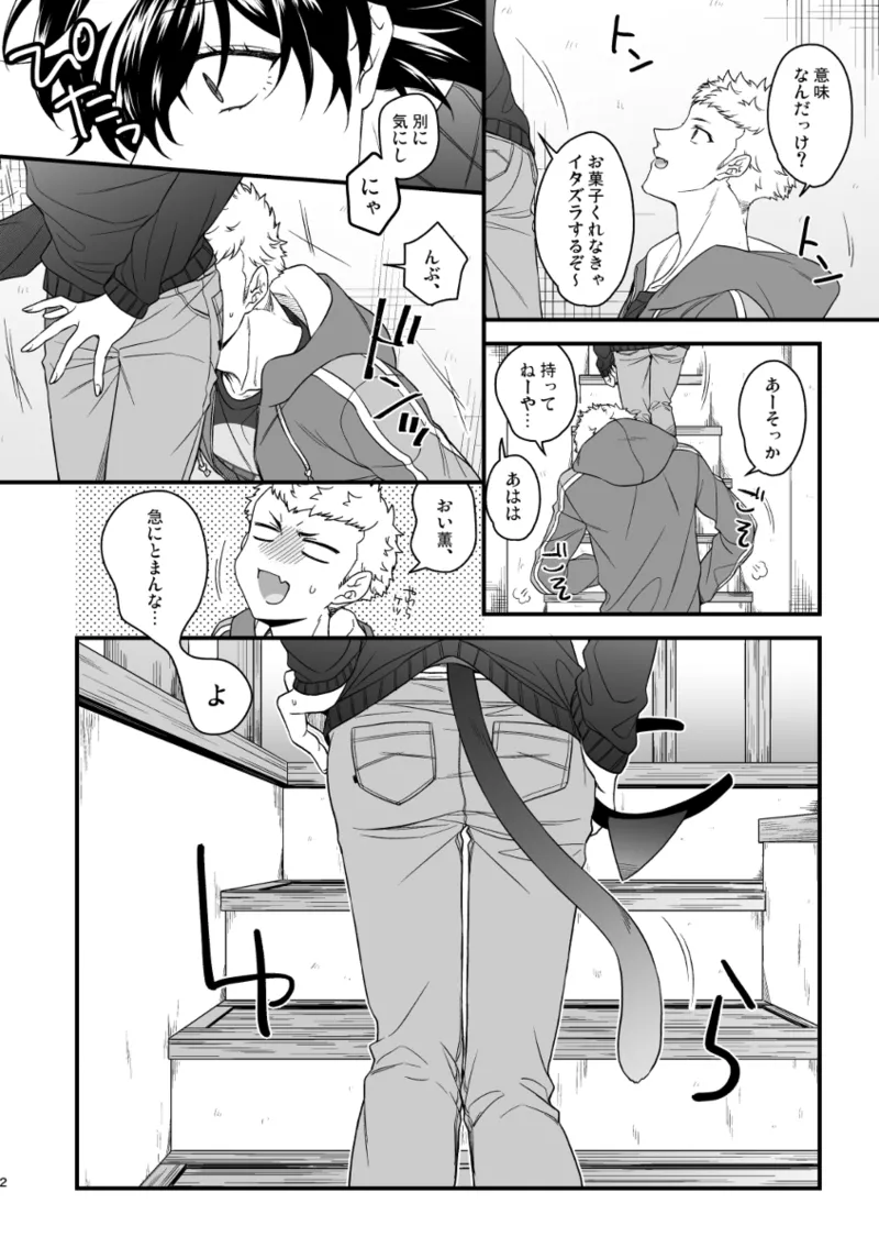 Page 4 of fushigi nya ♥ harowin naito