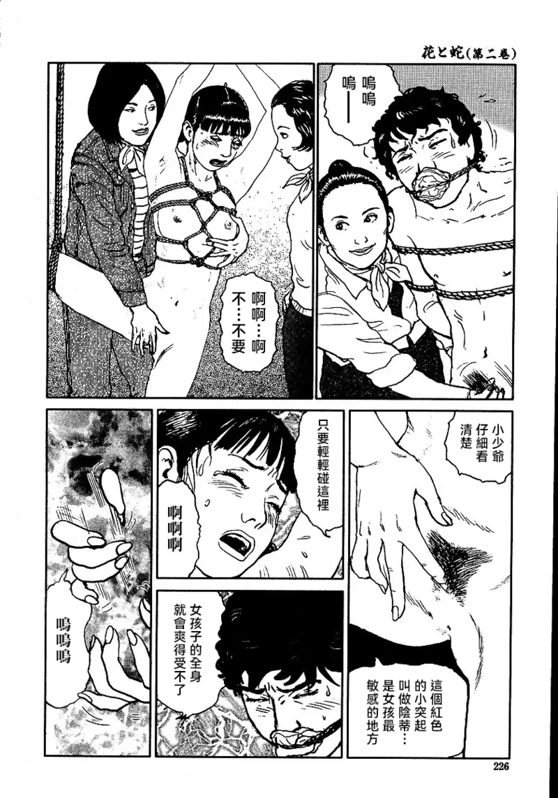 Page 232 of [長田要x団鬼六]花と蛇 第二集[大祭司汉化]