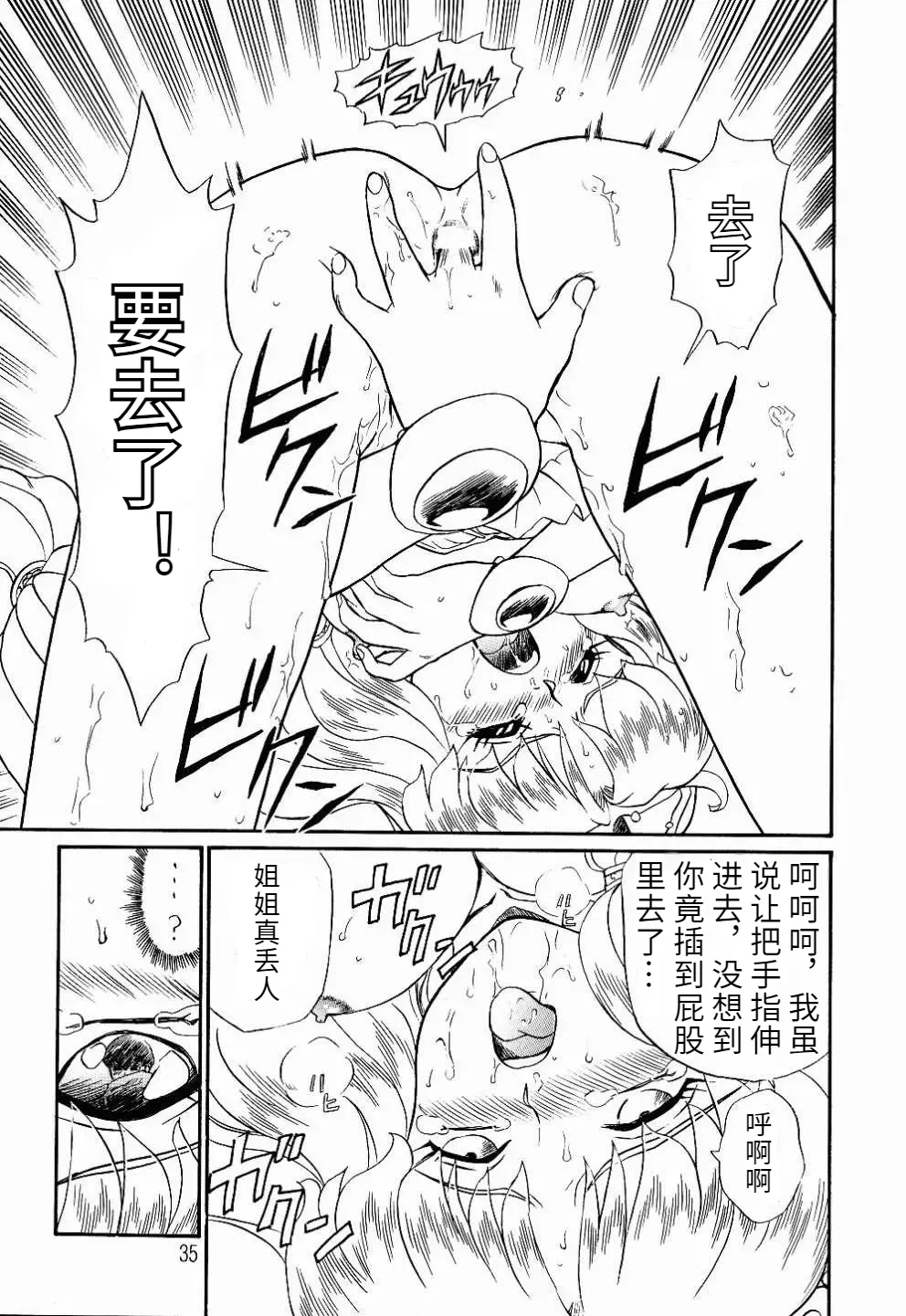 Page 32 of [Rat Tail（Irie Yamazaki）]PRINCESS SISTERS NIGHT TWO [个人翻译]