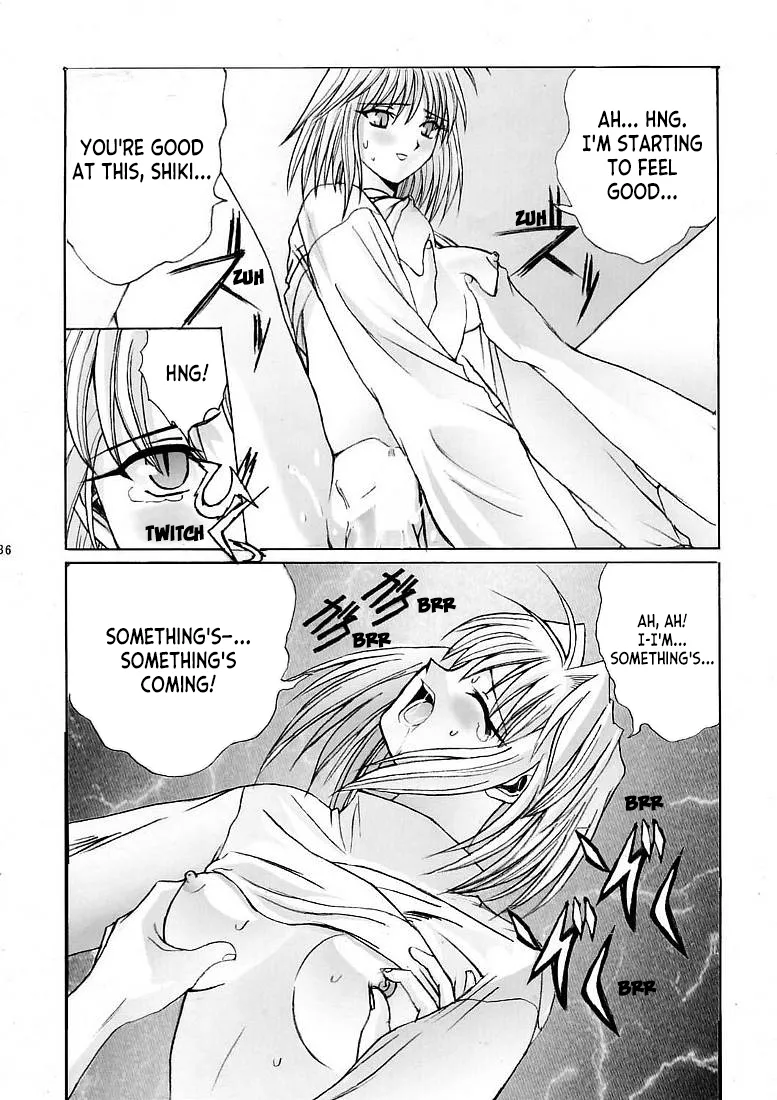 Page 35 of [Kuuronziyou (Okamura Bonsai, Suzuki Muneo)] Kuuronziyou 5 | Cowloon Castle 5 (Tsukihime) [English] [ianuela]