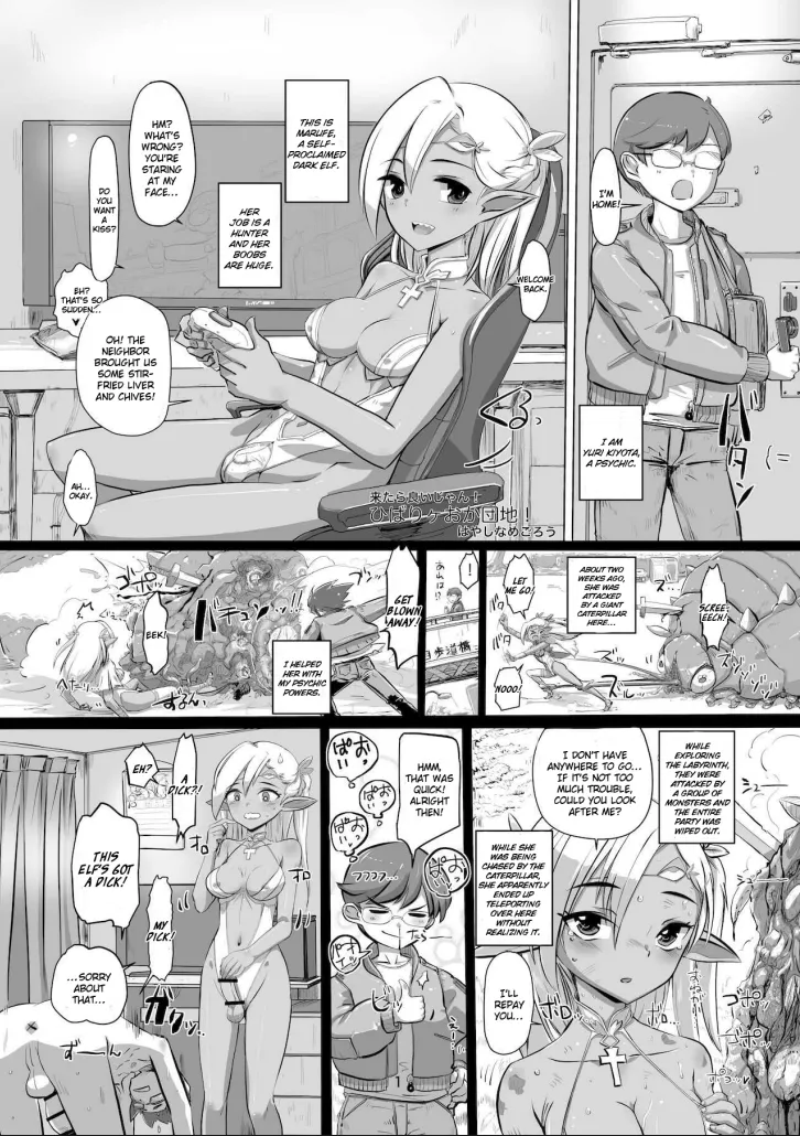 Hibarigaoka Housing Complex! page 1 full