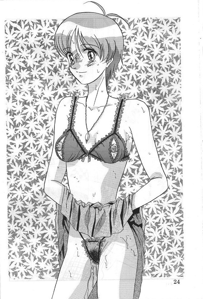 Dengeki Inuoh 3 - Page 25