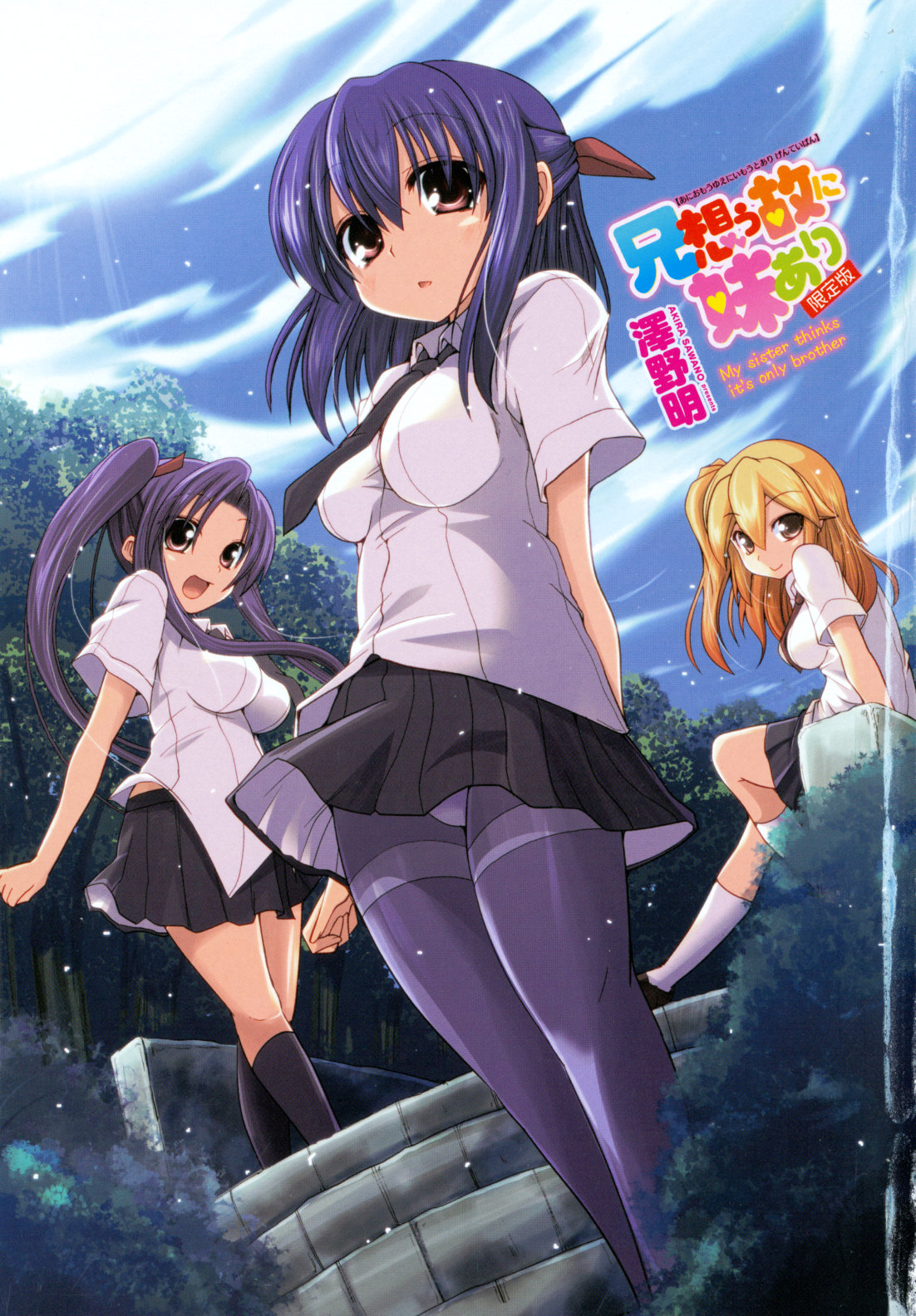 Ani Omou Yue ni Imouto Ari Genteiban - Page 6