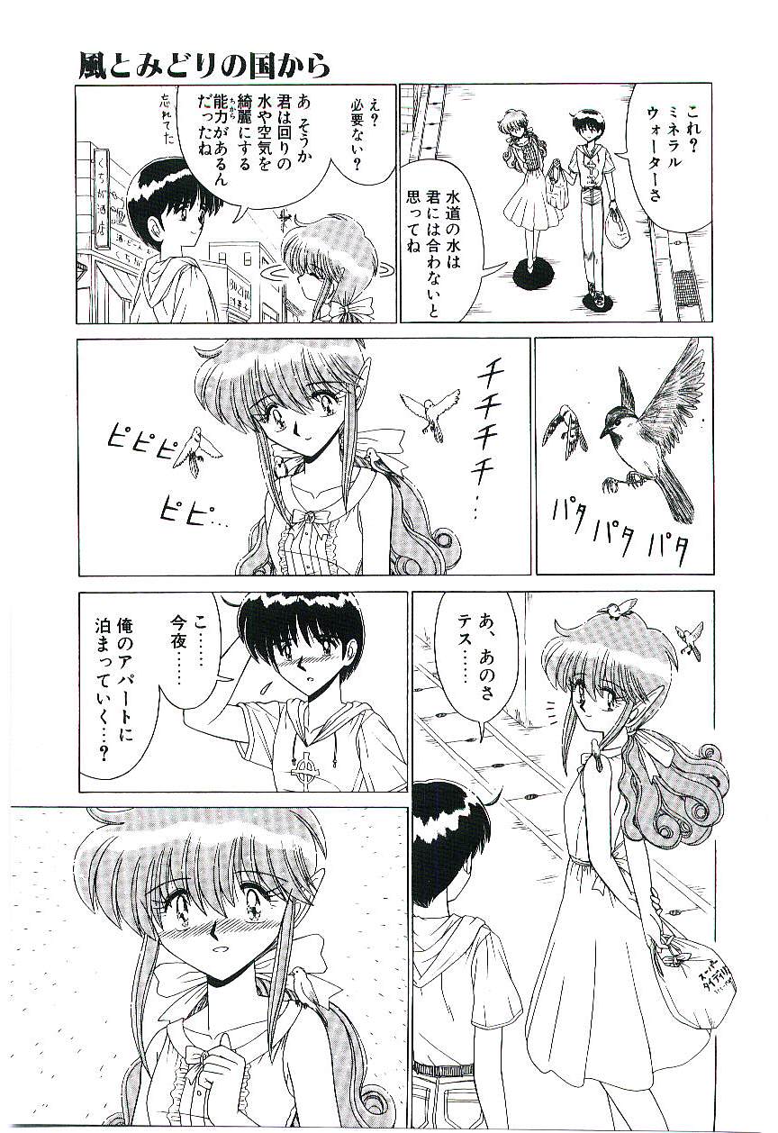 Kaze to Midori no Kuni kara - Page 12