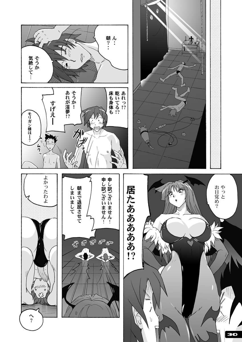 Pitapita Morrigan Fetish DL + - Page 29