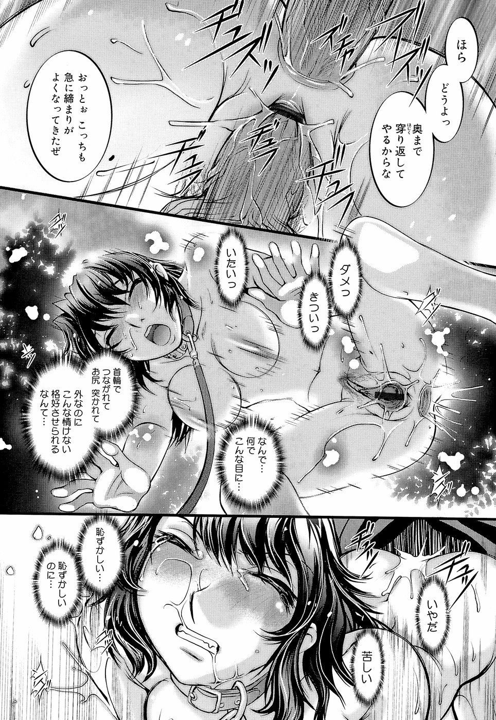 Anetoris - Page 231