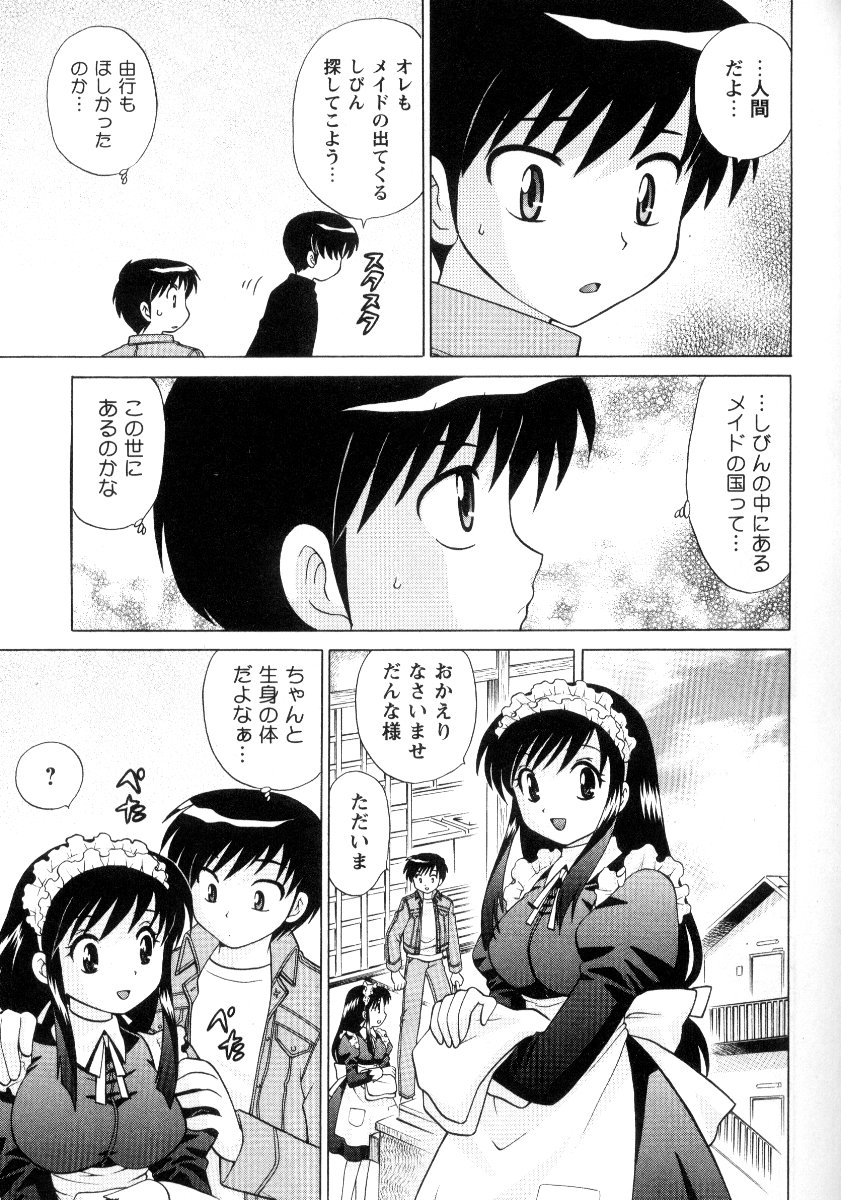 Kanzen Fukujuu Maid - Page 166