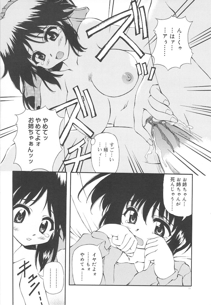 Honto wa Suki Nanda+ - Page 13