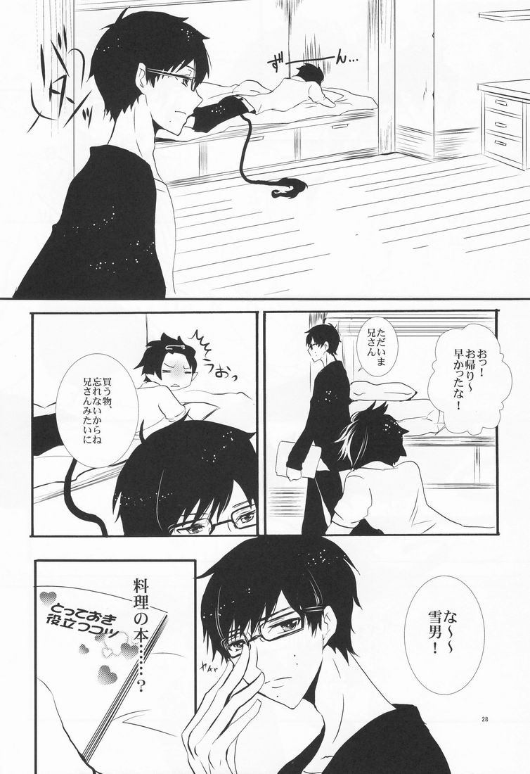 Niisan no Koukishin - Page 29