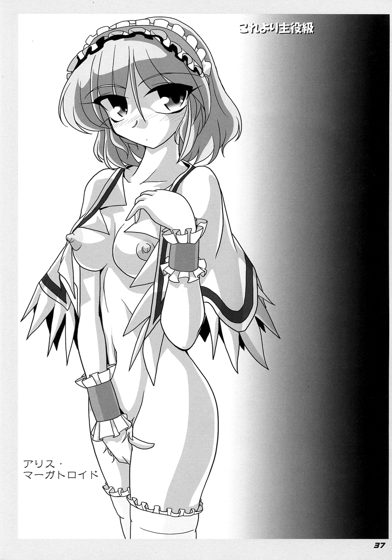 TOHO N+ R/T - Page 38