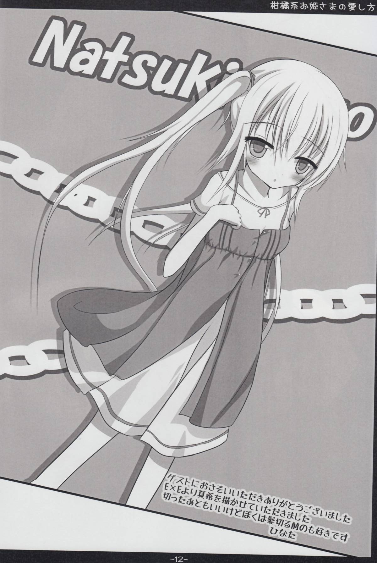 Kankitsu-kei Ohime sama no Aishikata - Page 11