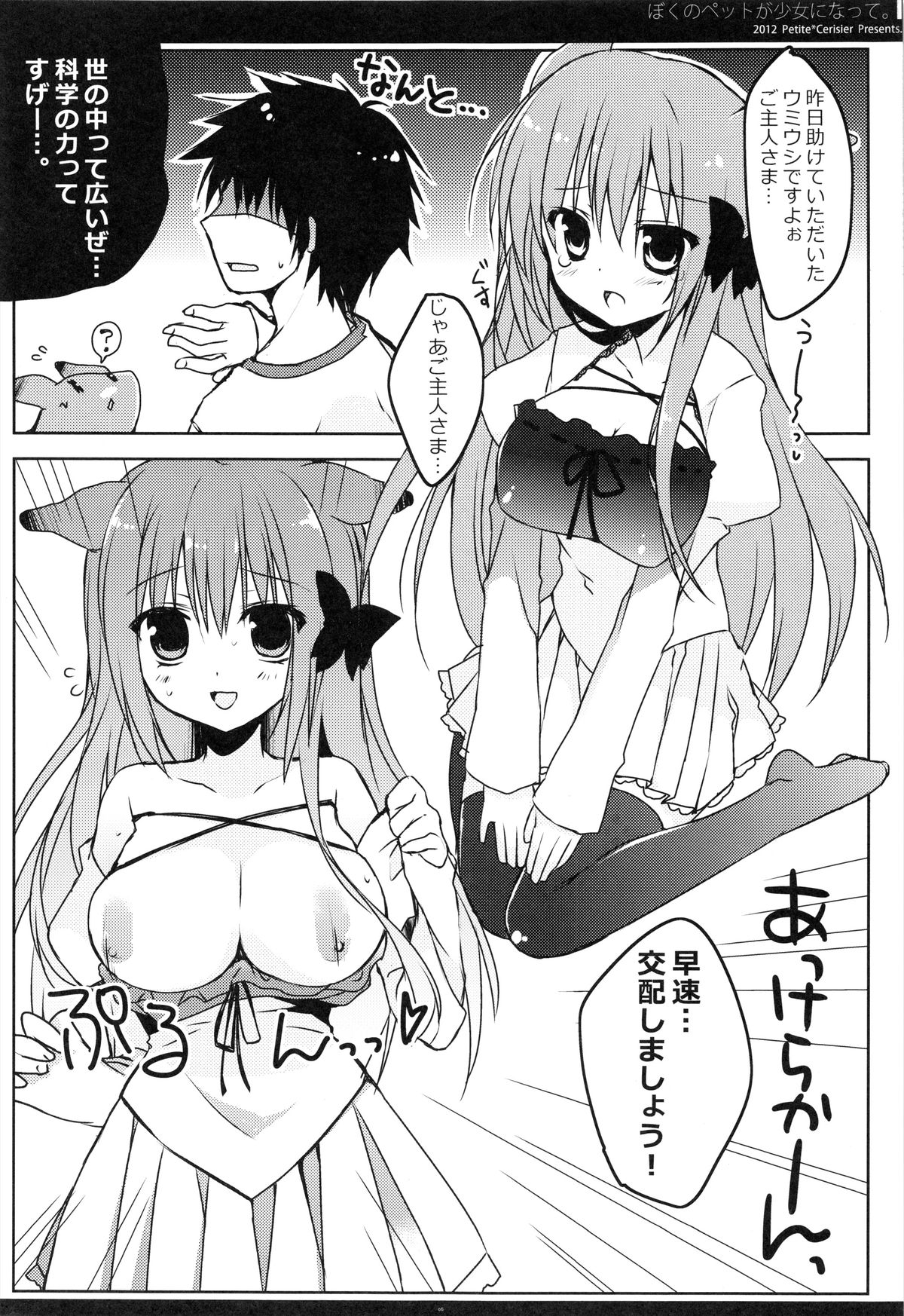 Preview page 6