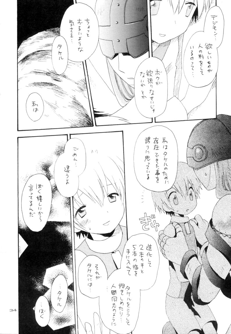 Zenda Shiro no Toriko - Page 35