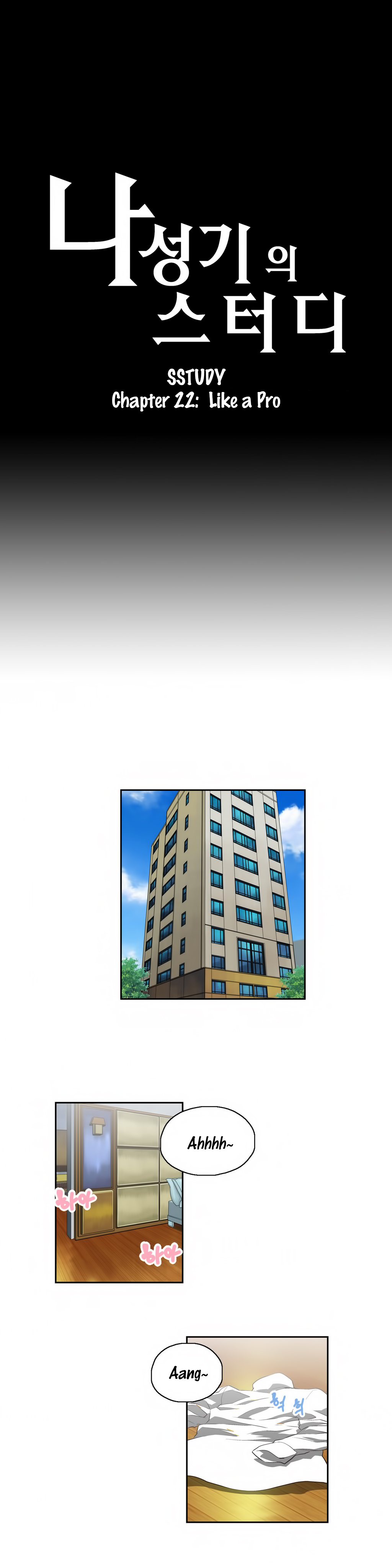 505.jpg